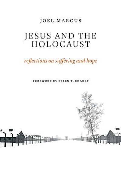 Jesus And The Holocaust: Reflections On Suffering Hope