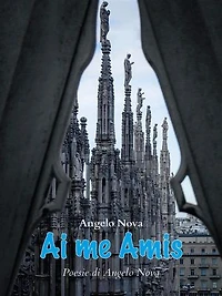 Ai me Amis
