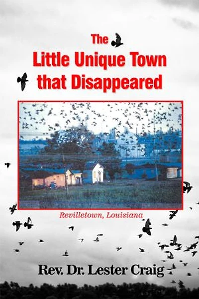 The Little Unique Town that Disappeared