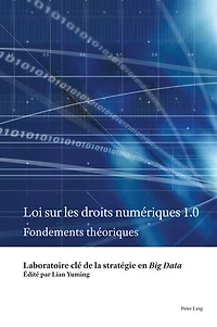 Loi sur les droits numériques 1.0: Fondements théoriques