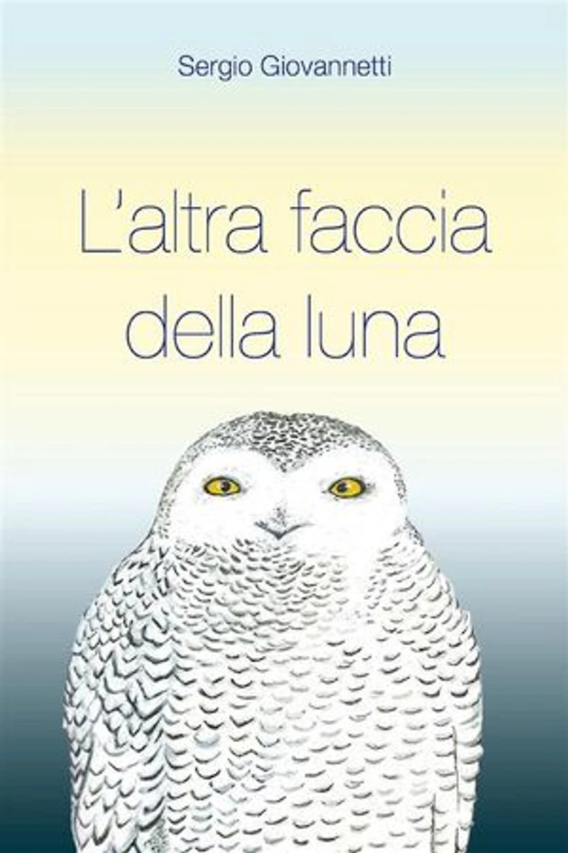 L'altra faccia della luna