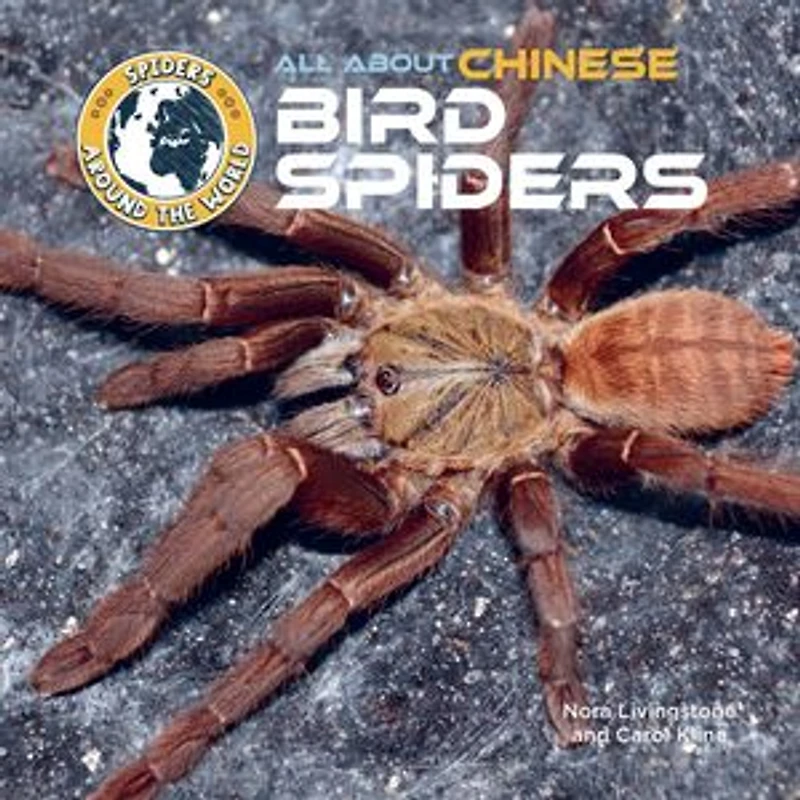 All About Chinese Bird Spiders
