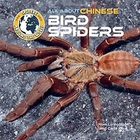 All About Chinese Bird Spiders