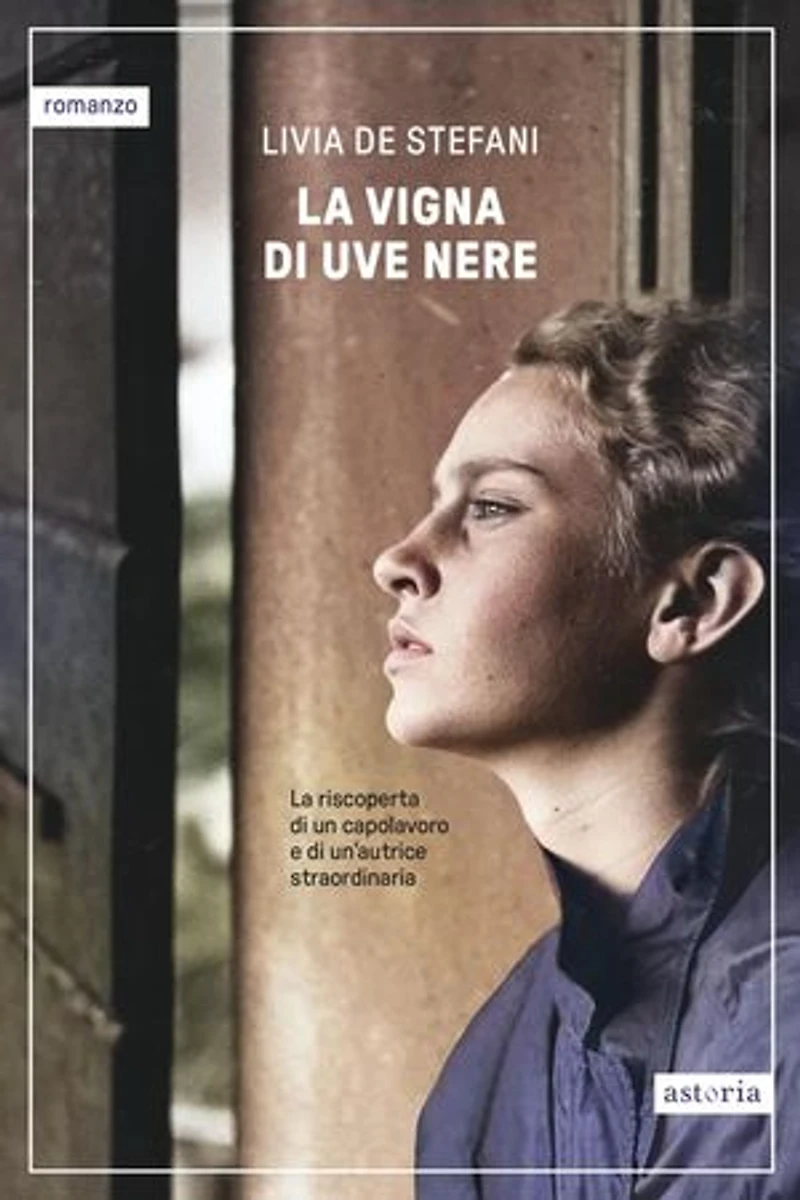 La vigna di uve nere