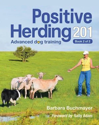 Positive Herding 201
