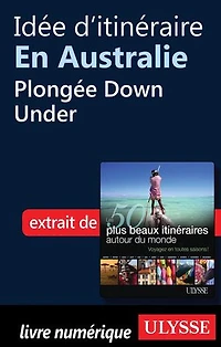50 PLUS BEAUX ITINÉRAIRES AUTOUR DU MONDE (LES)