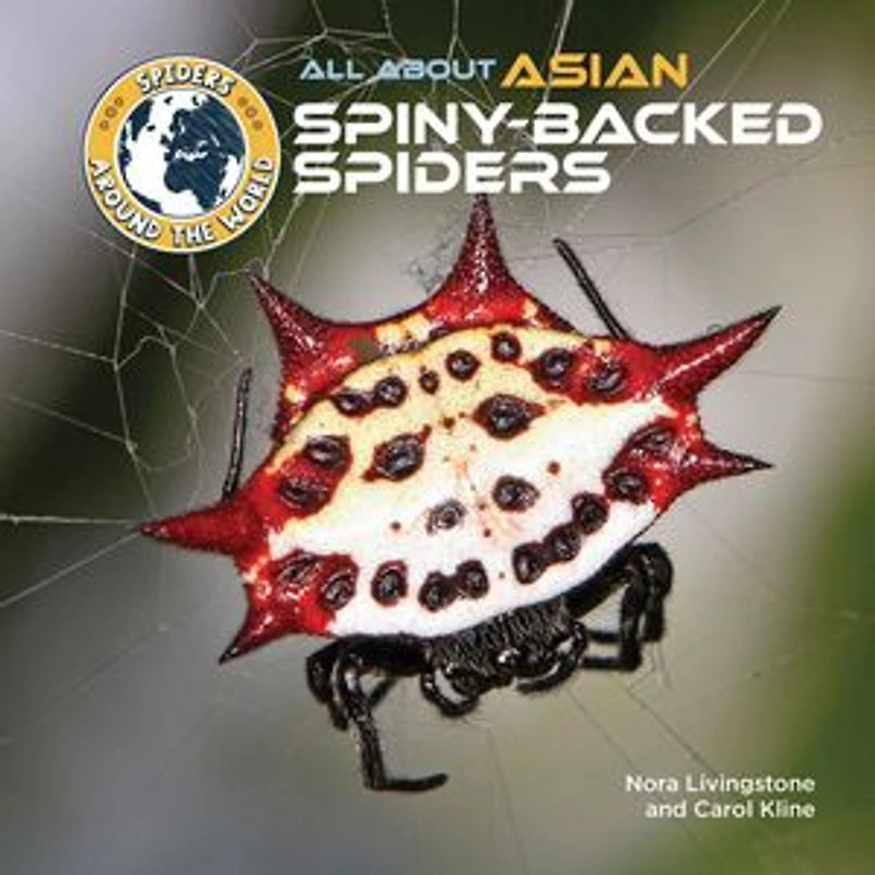 All About Asian Spiny-Backed Spiders