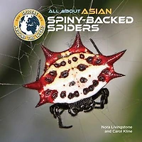 All About Asian Spiny-Backed Spiders