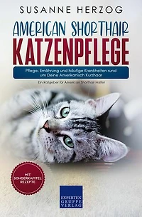 American Shorthair Katzenpflege - Pflege, Ernährung und häufige Krankheiten rund um Deine Amerikanisch Kurzhaar: Ein Ratgeber für American Shorthair Halter