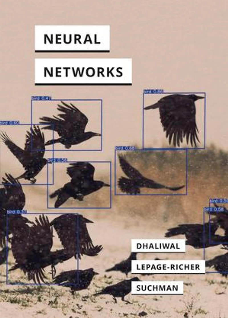 Neural Networks