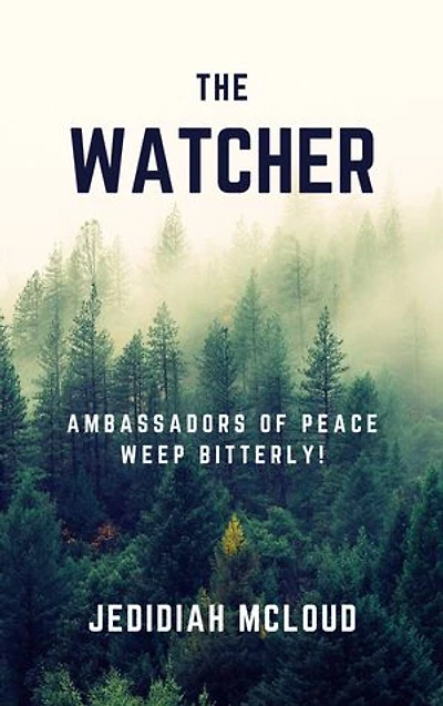 Ambassadors of peace weep bitterly