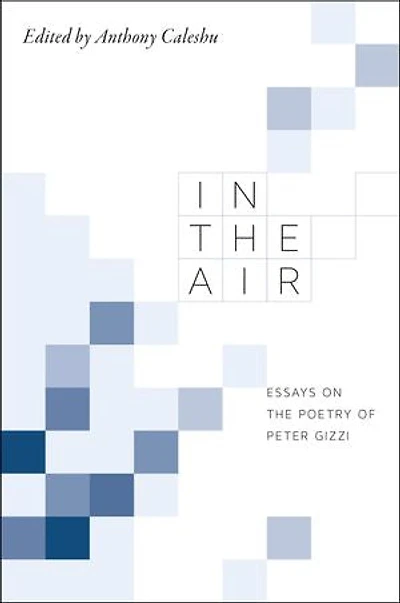 In the Air: Essays on the Poetry of Peter Gizzi
