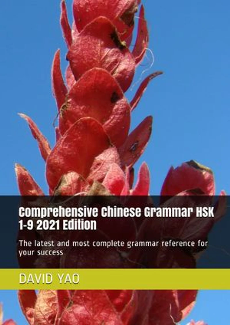 Comprehensive Chinese Grammar HSK 1-9 2021 Edition 汉语水平考试规范性语法: The latest and most complete grammar reference for your success 最新、最完整语法参考