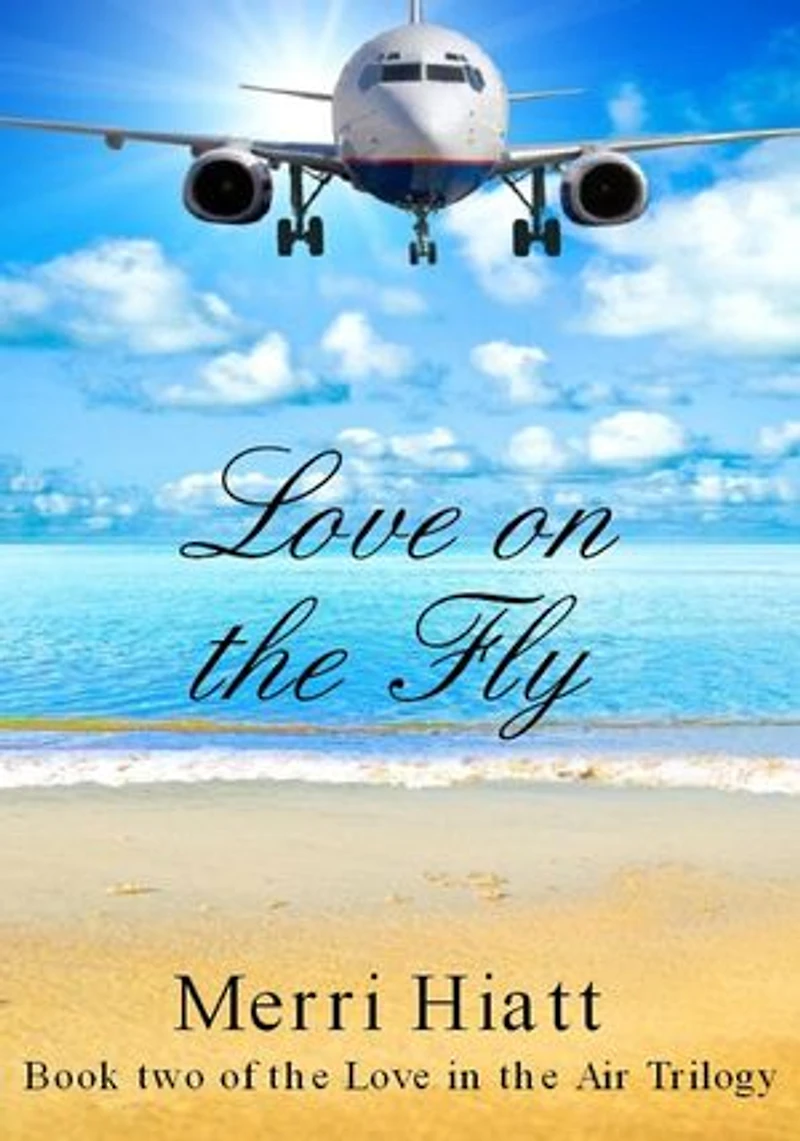 Love on the Fly (Book two of the Love in the Air Trilogy): Love in the Air Trilogy, #2