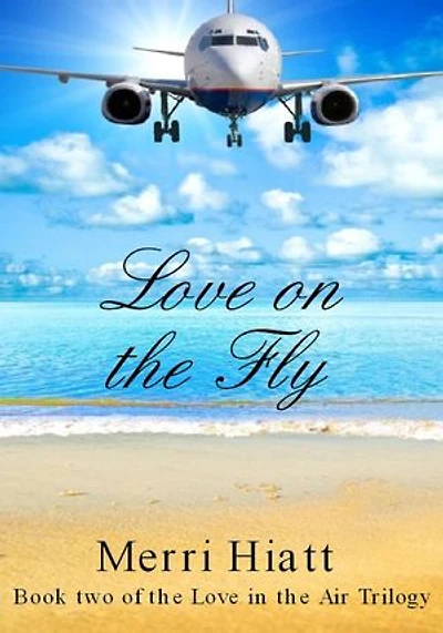 Love on the Fly (Book two of the Love in the Air Trilogy): Love in the Air Trilogy, #2