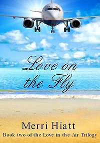 Love on the Fly (Book two of the Love in the Air Trilogy): Love in the Air Trilogy, #2