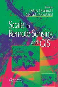 Scale in Remote Sensing and GIS