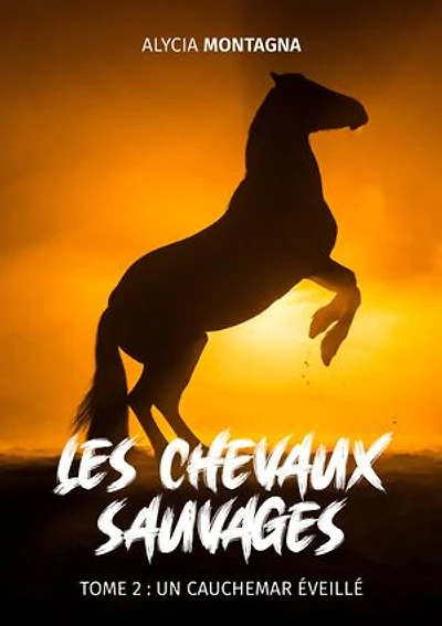 Les chevaux Sauvages - Tome 2: un cauchemar éveillé