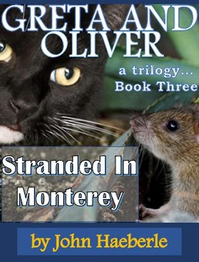 Greta and Oliver: Stranded in Monterey: Greta and Oliver, #3