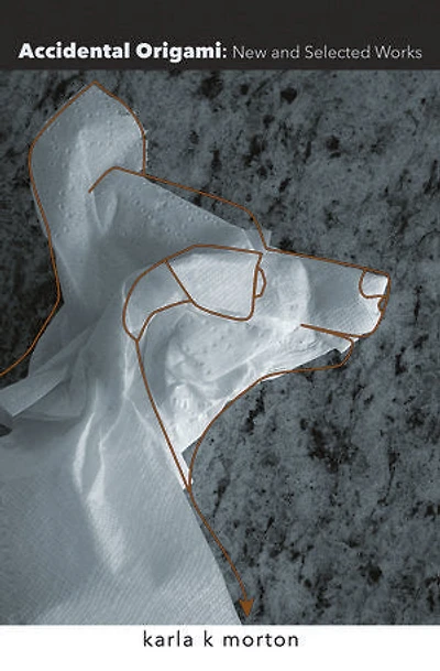 Accidental Origami: New and Selected Works of Karla K. Morton Volume 18