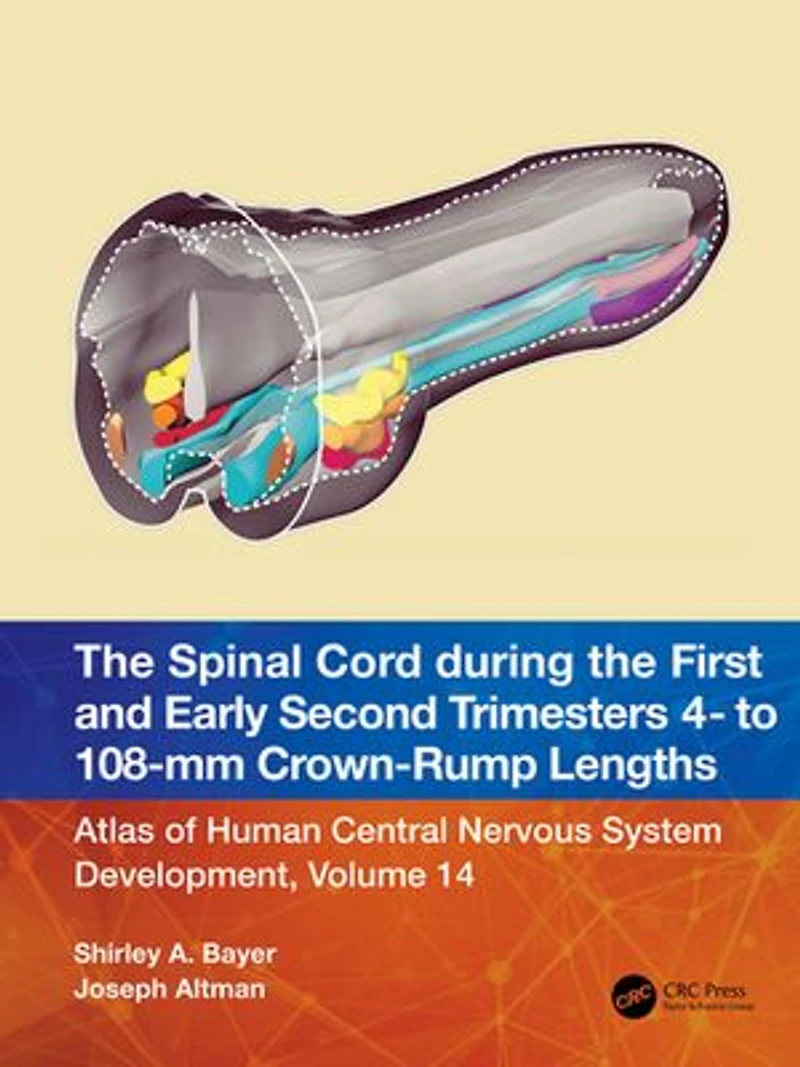 the Spinal Cord during First and Early Second Trimesters 4- to 108-mm Crown-Rump Lengths: Atlas of Human Central Nervous System Development, Volume 14