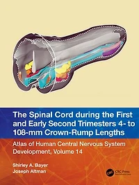 the Spinal Cord during First and Early Second Trimesters 4- to 108-mm Crown-Rump Lengths: Atlas of Human Central Nervous System Development, Volume 14
