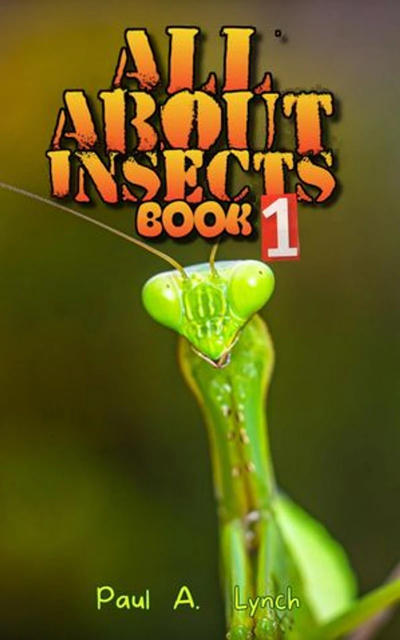 All About Insects: All About Insects, #1