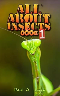 All About Insects: All About Insects, #1