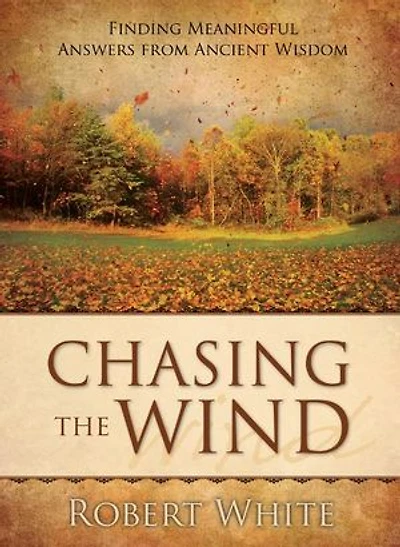 Chasing the Wind: Finding Meaningful Answers from Ancient Wisdom