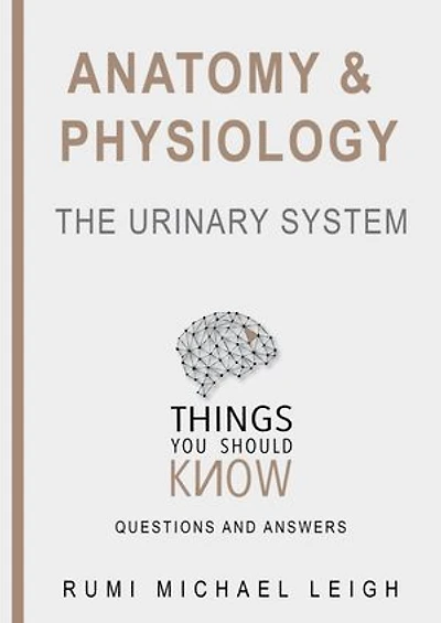 Anatomy and physiology "The urinary system": Things you should know (Questions and answers)
