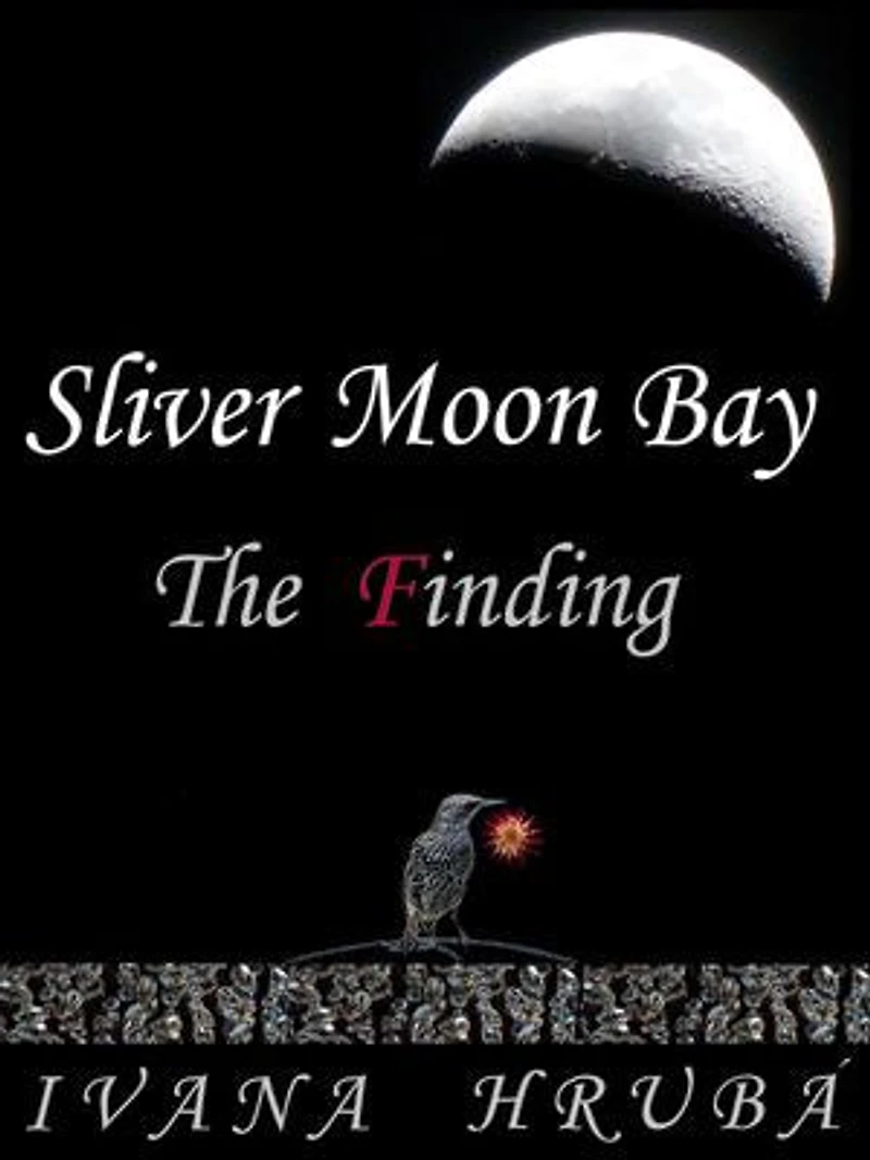 Sliver Moon Bay: The Finding