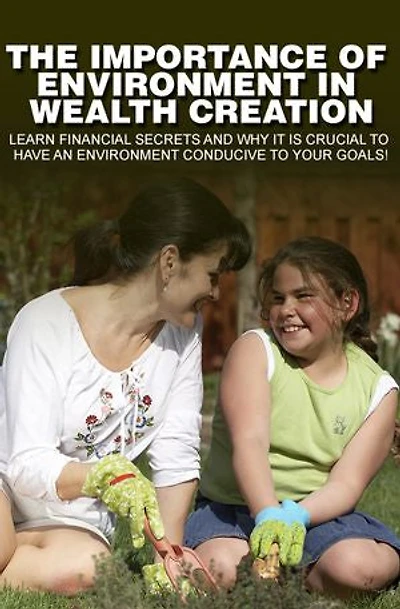 The Importance of Environment in Wealth Creation