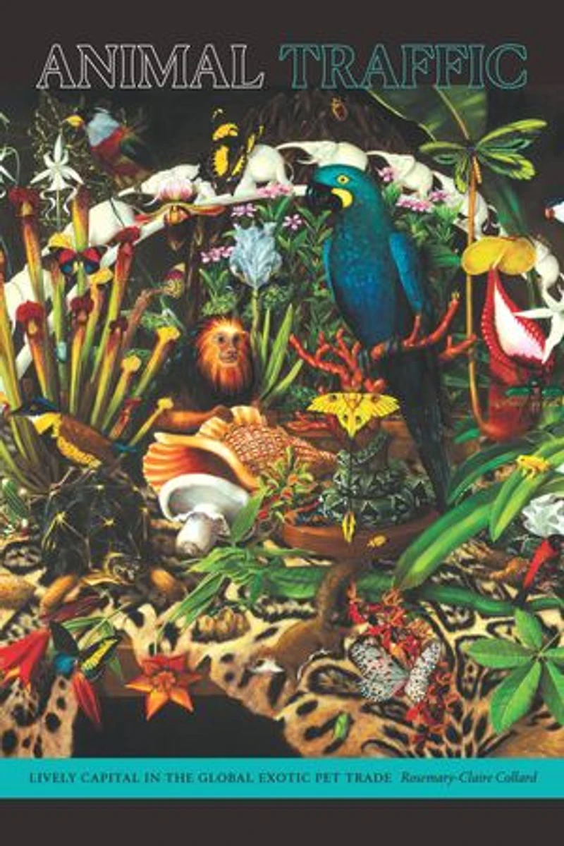 Animal Traffic: Lively Capital the Global Exotic Pet Trade