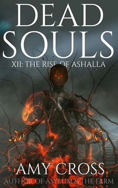 The Rise of Ashalla: Dead Souls, #12