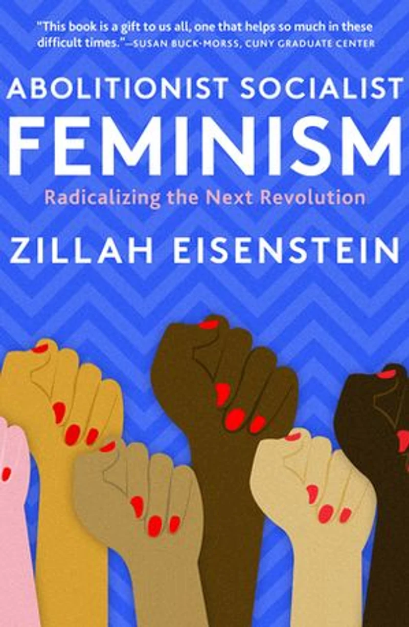 Abolitionist Socialist Feminism: Radicalizing the Next Revolution