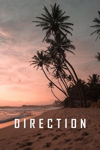 direction: direction storybook