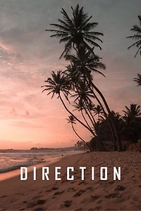 direction: direction storybook