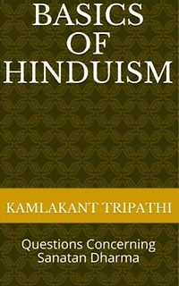 Basics of Hinduism: Questions Concerning Sanatan Dharma
