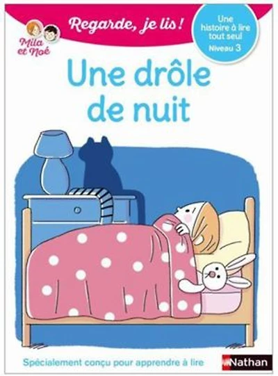 une drôle de nuit: histoire à lire tout seul, niveau 1