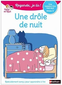une drôle de nuit: histoire à lire tout seul, niveau 1