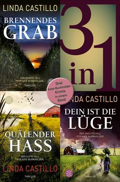 Brennendes Grab / Quälender Hass / Dein ist die Lüge - Drei Kate-Burkholder-Krimis in einem Band: Kate Burkholder ermittelt bei den Amischen
