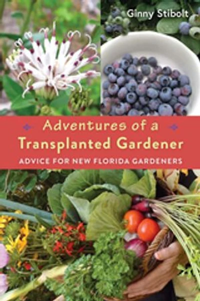 Adventures of a Transplanted Gardener: Advice for New Florida Gardeners