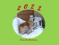 2022 avec les Animaux