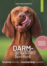 Darmgesundheit beim Hund: Symptome erkennen, Zusammenhänge verstehen