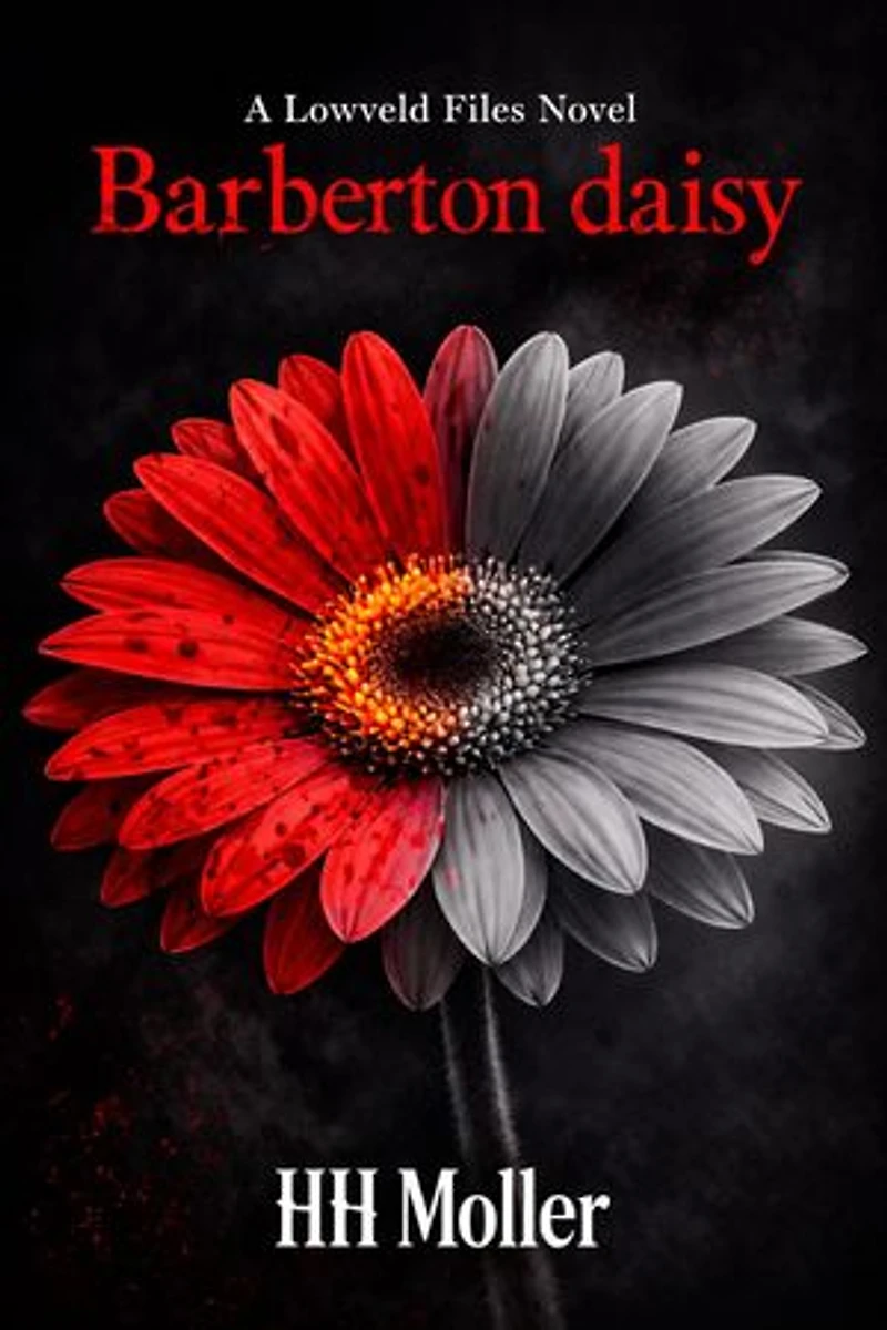 Barberton Daisy