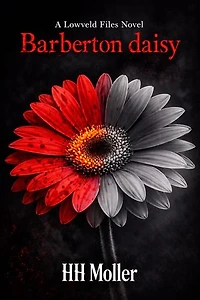 Barberton Daisy