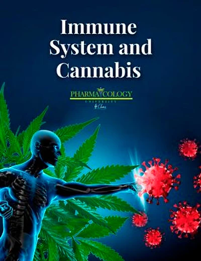 Immune system and cannabis
