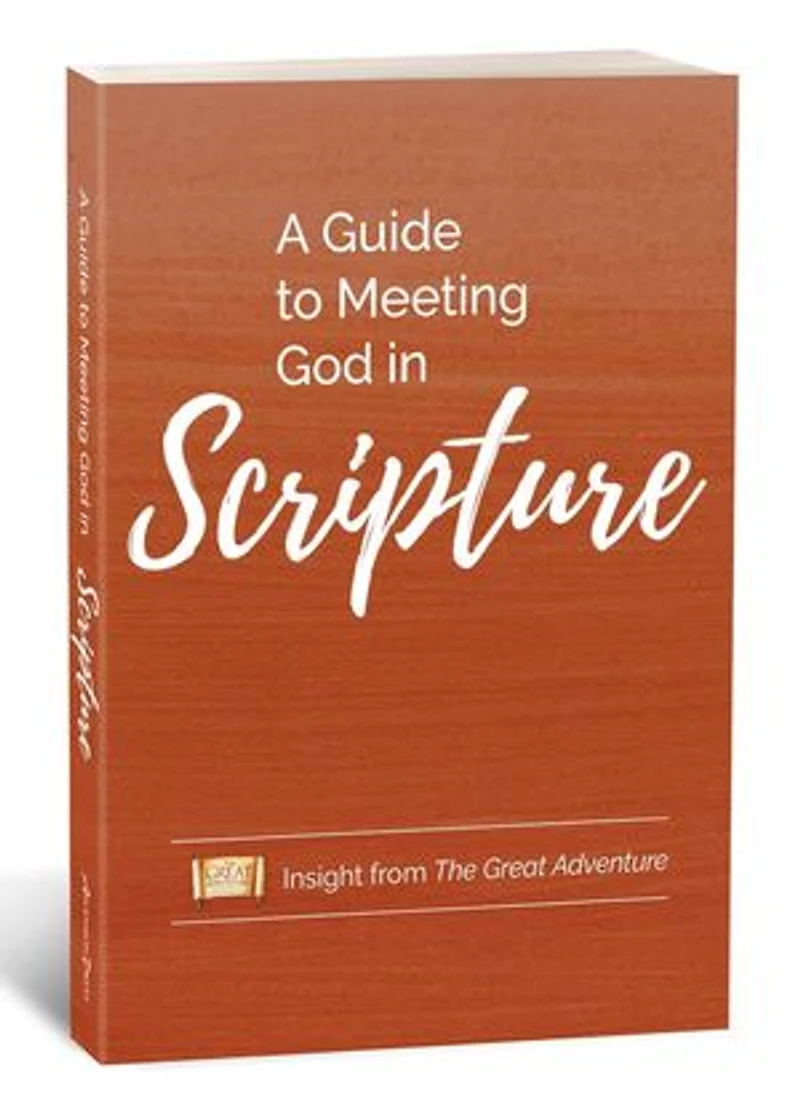 A Guide to Meeting God in Scripture: Insight from the Great Adventure