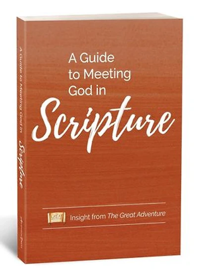 A Guide to Meeting God in Scripture: Insight from the Great Adventure