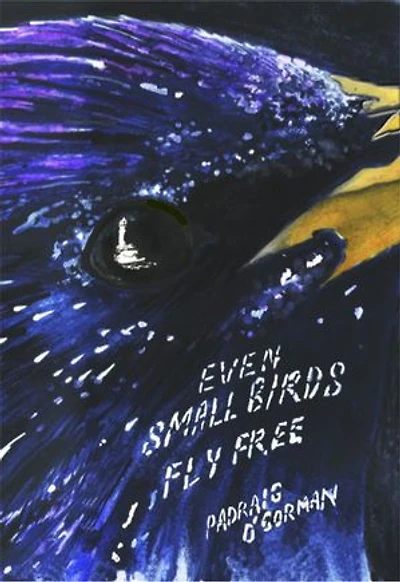 even small birds fly free